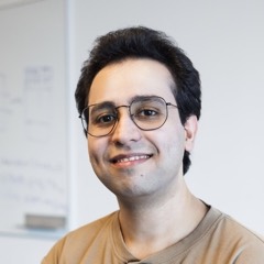 ali hassani